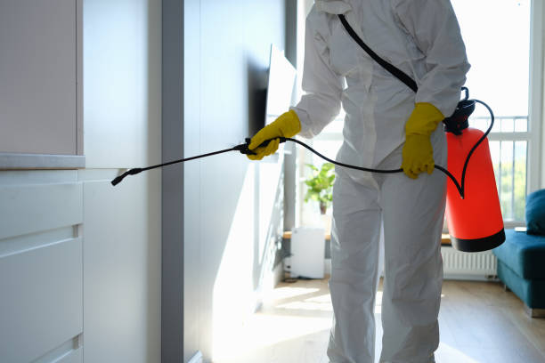 Best Local Mold Removal Service  in Cape May Court House, NJ